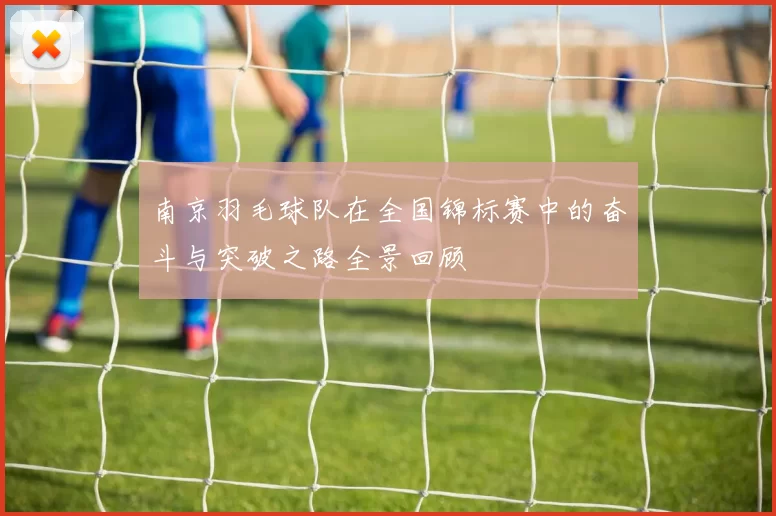 南京羽毛球队在全国锦标赛中的奋斗与突破之路全景回顾