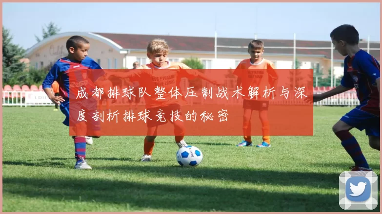 成都排球队整体压制战术解析与深度剖析排球竞技的秘密