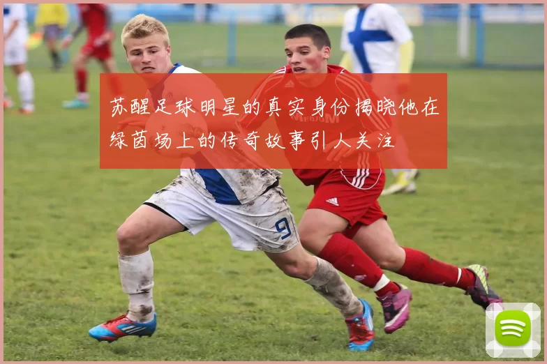 苏醒足球明星的真实身份揭晓他在绿茵场上的传奇故事引人关注