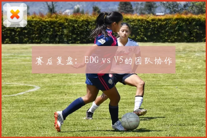 赛后复盘：EDG vs V5的团队协作